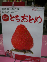 20110220-016.jpg
