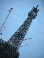 DSCN5742.gif