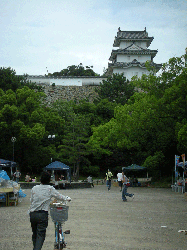 DSCN5760.gif