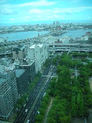 DSCN5797.gif