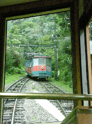 DSCN5817.gif