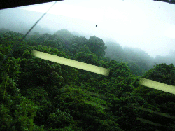 DSCN5819.gif