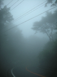DSCN5835.gif