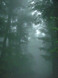 DSCN5838.gif