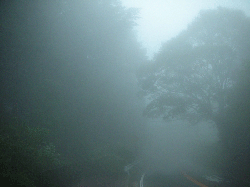DSCN5839.gif