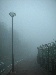 DSCN5840.gif