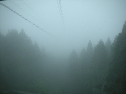 DSCN5846.gif