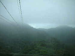 DSCN5847.gif