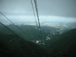 DSCN5849.gif