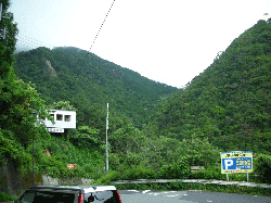 DSCN5855.gif