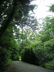 DSCN5856.gif