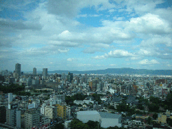 DSCN5892.gif