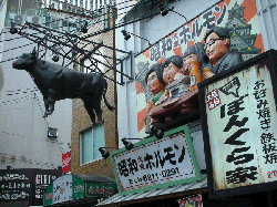 DSCN5905.gif