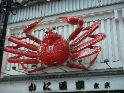 DSCN5919.gif