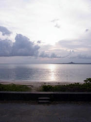 157_large.jpg