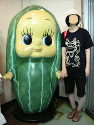 303_large.jpg