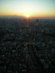 DSCN6169.gif