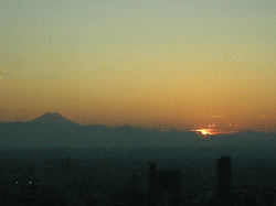 DSCN6178.gif