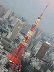 DSCN6184.gif