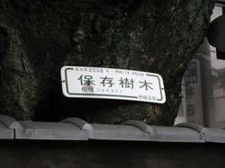 20111030-041.jpg