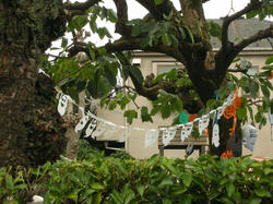 20111030-052.jpg