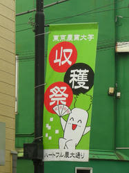 20111030-056.jpg