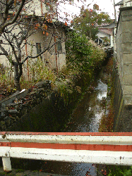 20111121-019.gif
