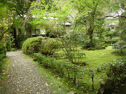 20111121-043.gif