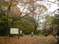 20111121-049.gif
