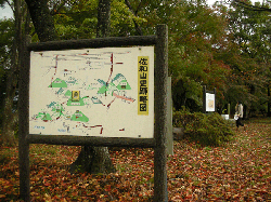 20111121-050.gif