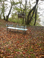 20111121-051.gif