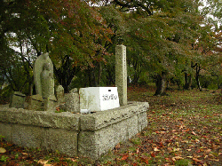 20111121-054.gif