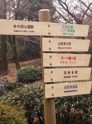 20120226-122.jpg