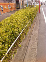 20120226-151.jpg