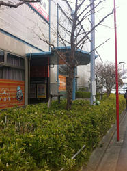 20120226-152.jpg