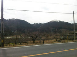 20120226-157.jpg