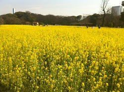 20120401-020.jpg