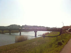 20120410-024.jpg