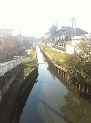 20120410-034.jpg