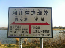 20120410-049.jpg