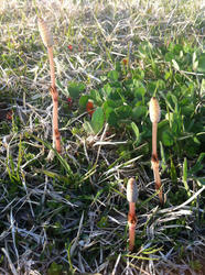 20120410-056.jpg