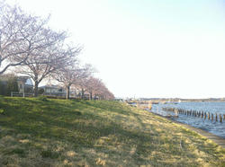 20120410-058.jpg