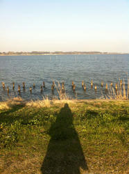 20120410-060.jpg