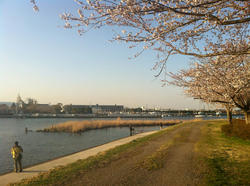 20120410-084.jpg