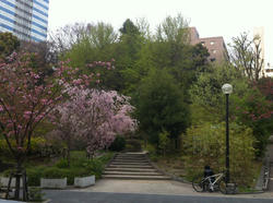 20120416-028.jpg