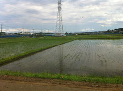 20120610-005.jpg