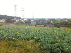 20120610-010.jpg