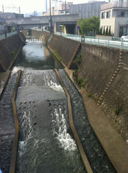 20120610-012.jpg