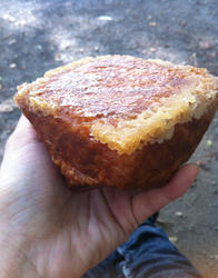 20120708-023.jpg