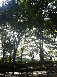 20120708-024.jpg